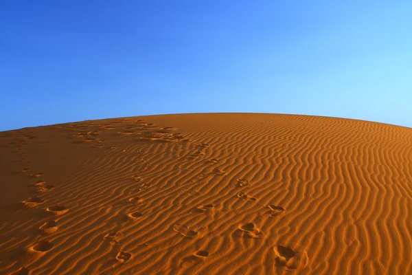 Coucher de soleil sur Sahara — Photo