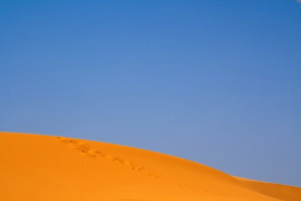 Zu Fuß auf sahara — Stockfoto