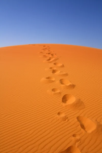 Walking on Sahara — Stok fotoğraf