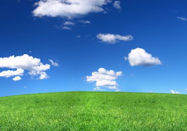 Panoramic view of peaceful grassland clipart