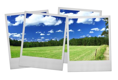 Photo frames on white clipart