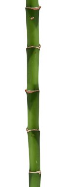 Long bamboo stick clipart