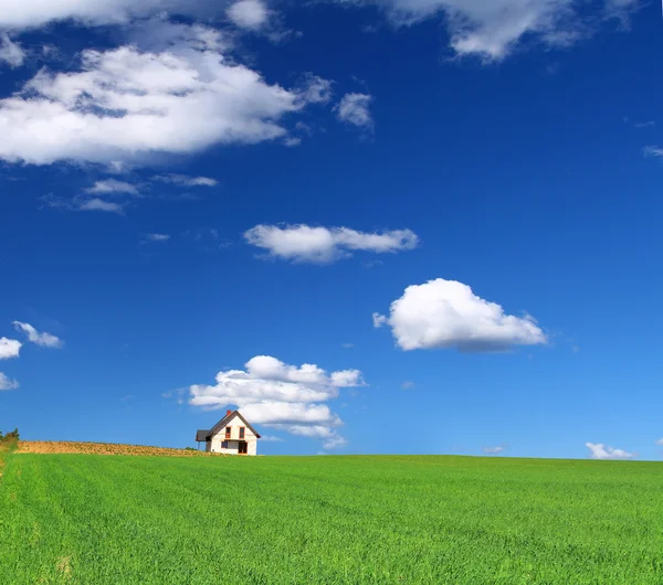 Дом на травяном поле — стоковое фото