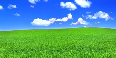 Panoramic view of peaceful grassland clipart