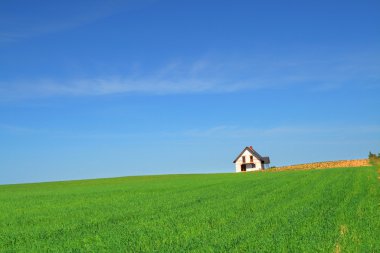 Little house in grass field clipart