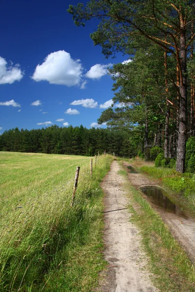 Pittoreske landweg en veld — Stockfoto