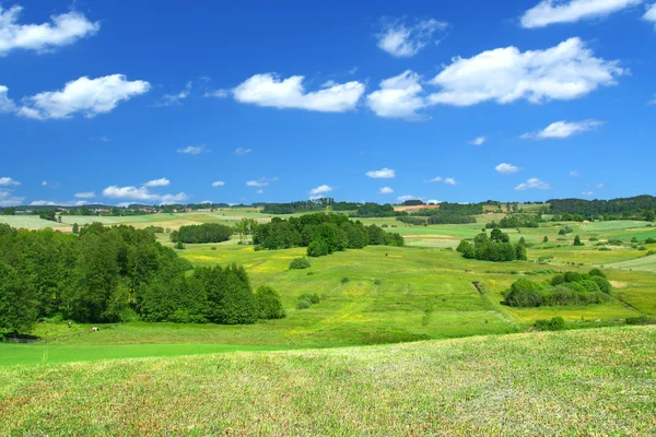 Summer landscape with cumulus clouds — Stock Photo, Image