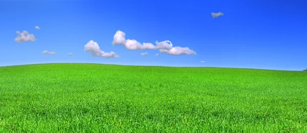 Panoramautsikt över fredliga gräsmark — Stockfoto
