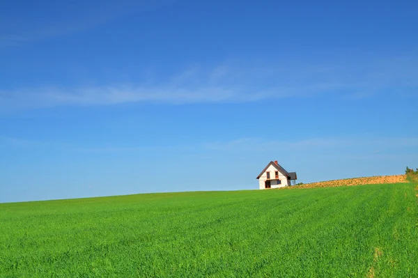 Little house in grass field — 图库照片