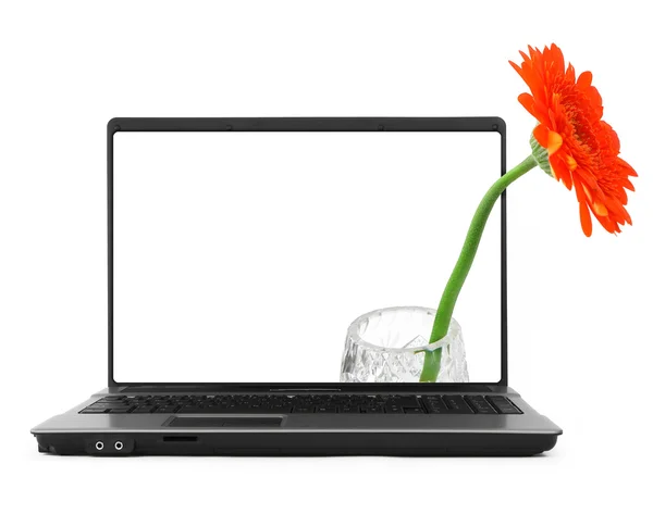 Laptop met een bloem — Stockfoto