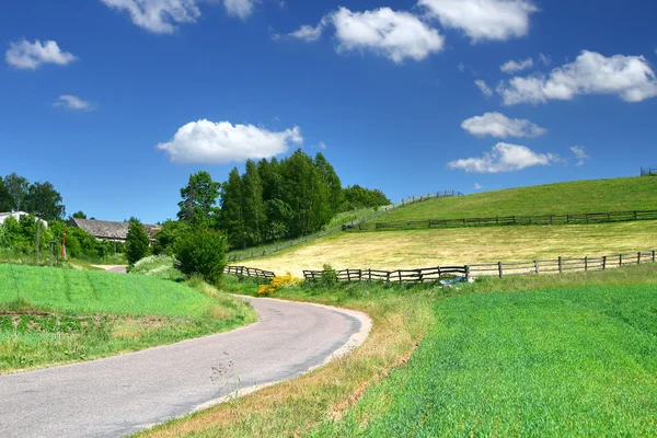 Pintoresca carretera rural y campos — Foto de Stock