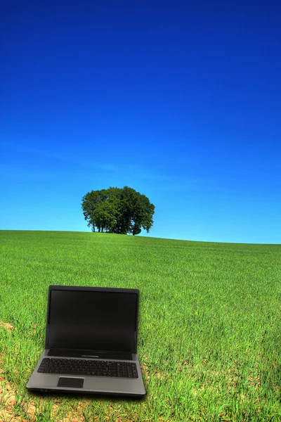 Serene grasland en een notebook — Stockfoto