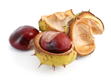 Chestnuts on white clipart