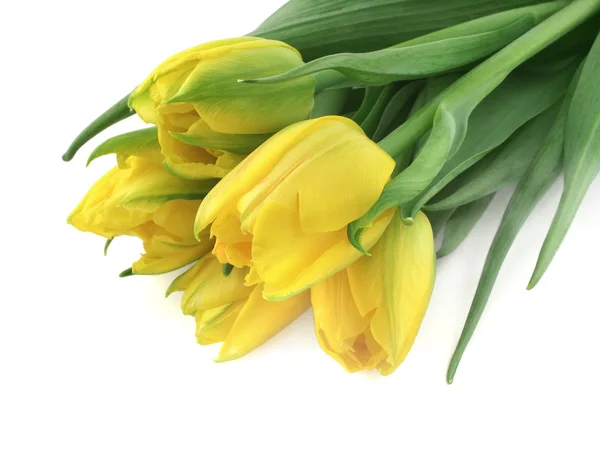 Bunch of yellow tulips — Stock Photo, Image
