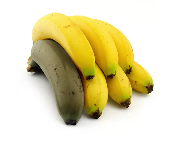 Rotten banana — Stock Photo, Image