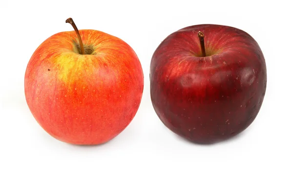 Två olika röda äpplen — Stockfoto