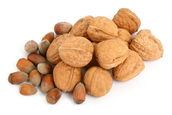 Group of walnuts and hazelnuts — Stock Photo, Image