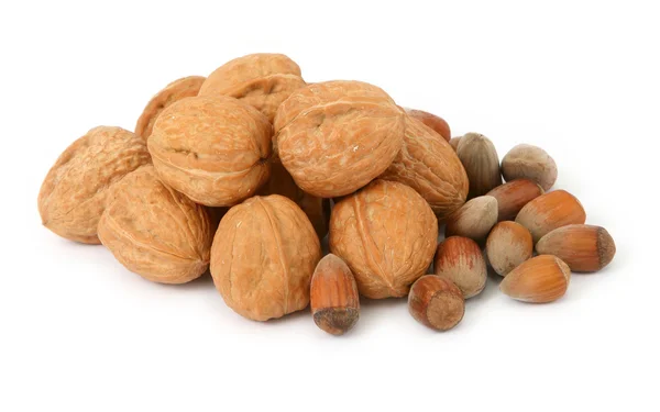 Walnuts and hazelnuts against white — Stock Photo, Image