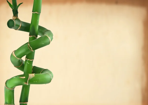 Счастливый бамбуковый фон — стоковое фото