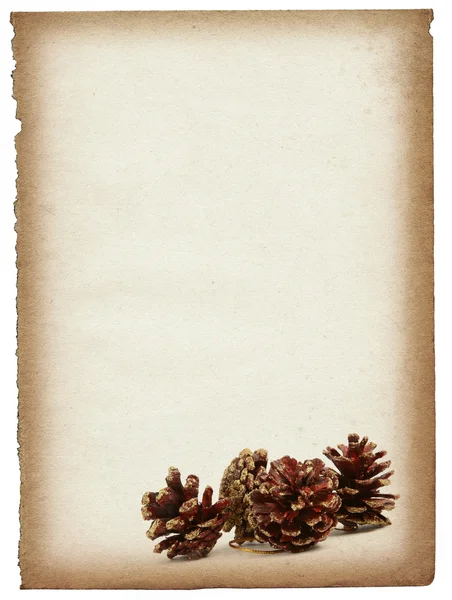 Papierseite mit dekorativen Zapfen — Stockfoto