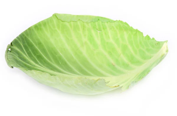 Single cabbage leaf # 2 — стоковое фото