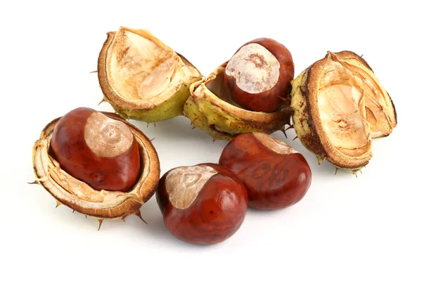 Chestnuts on white Stock Image