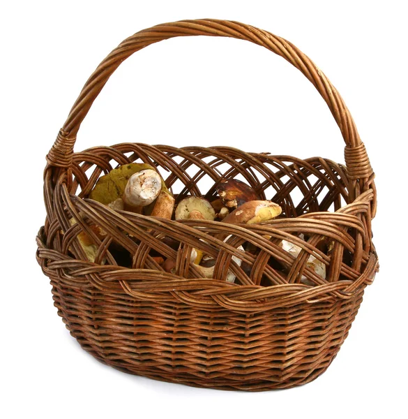 Basket full of wild mushrooms — Stock Photo, Image