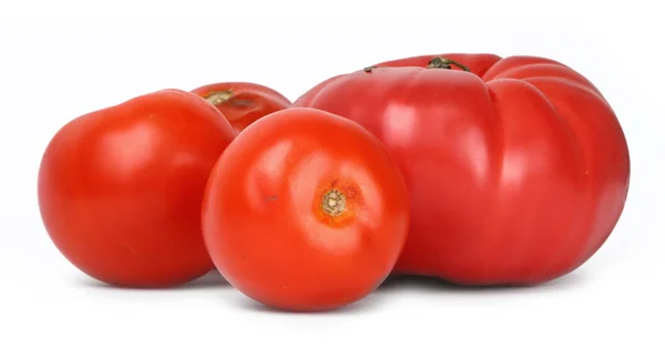 トマトのグループφύλλα πράσινο Βασιλικού — ストック写真