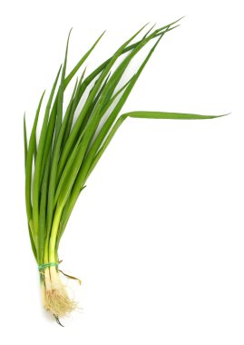Fresh chives clipart