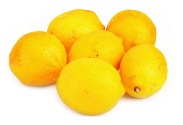 레몬의 그룹 — 스톡 사진