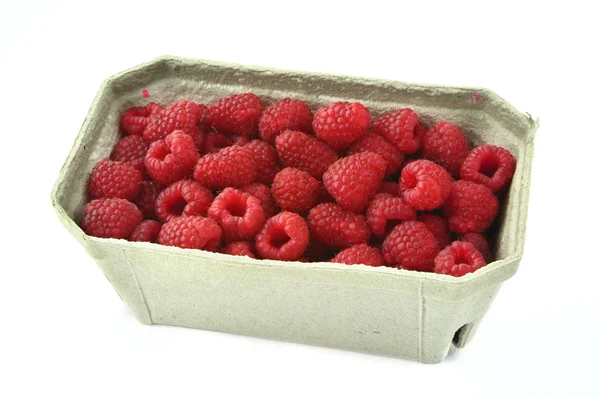 Raspberries in cardboard box — Stock Photo, Image