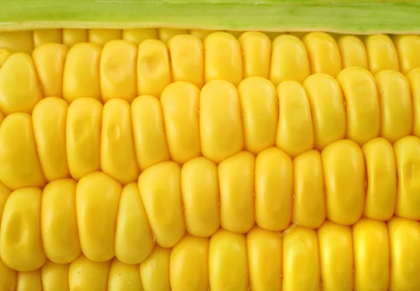 Tło kolby kukurydzy — Zdjęcie stockowe