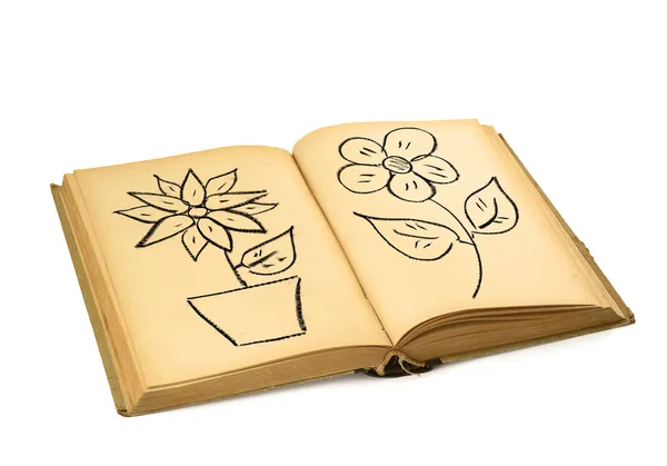Book with flower drawings — Stock Photo, Image