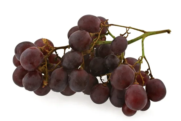 Dark grapes — Stock Photo, Image