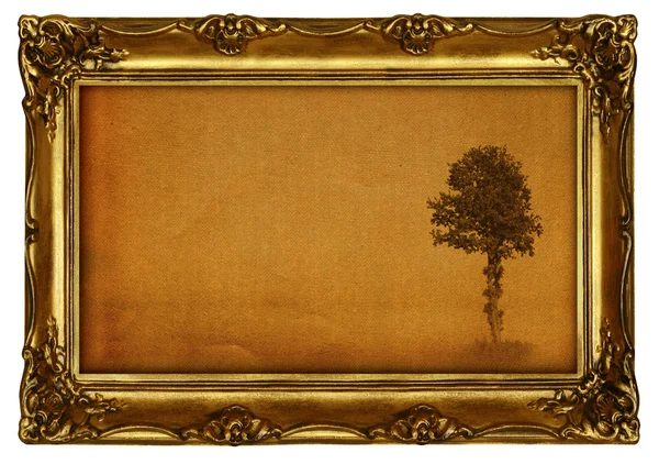 Pintura com árvore — Fotografia de Stock