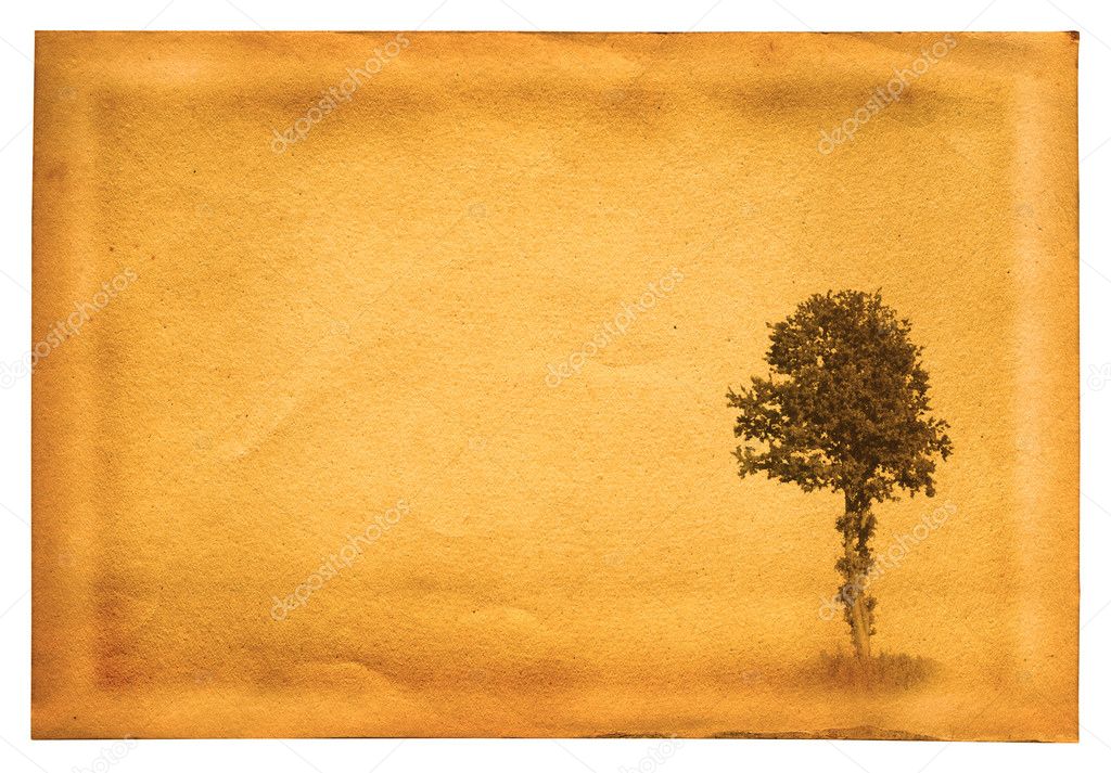 Old paper with tree