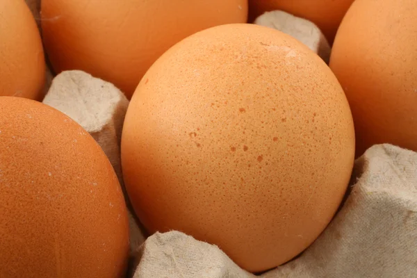 Free-range eggs — Stock Photo, Image
