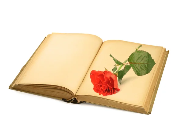 Otwórz starej książki z różą — Zdjęcie stockowe