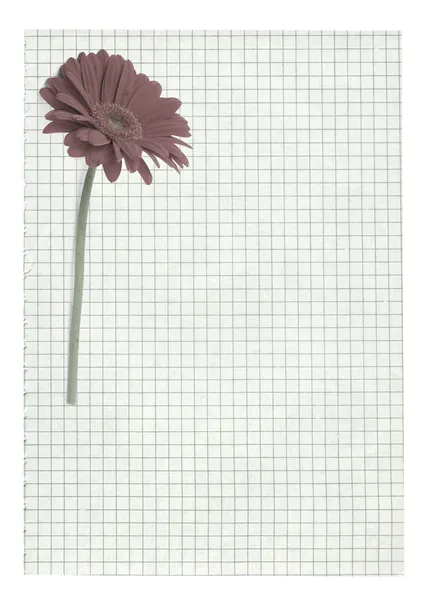 Χαρτί σελίδα με λουλούδι κίνητρο — Φωτογραφία Αρχείου