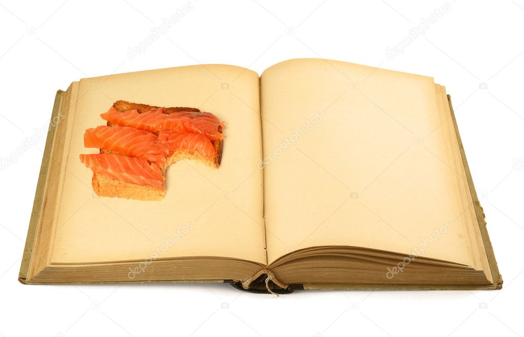 Open blank book with sandwich