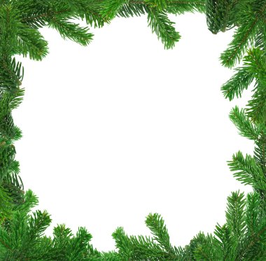 Xxl image of square spruce twig frame clipart