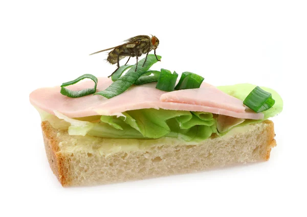 おいしいハムのサンドイッチの上に座って飛ぶ — ストック写真