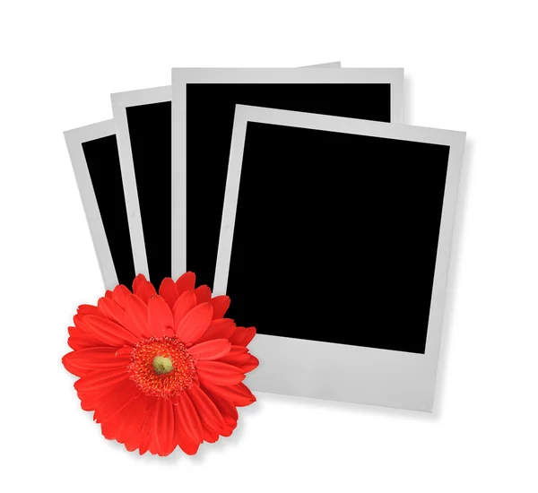 Stack of photo frames with flower — Stock Photo, Image