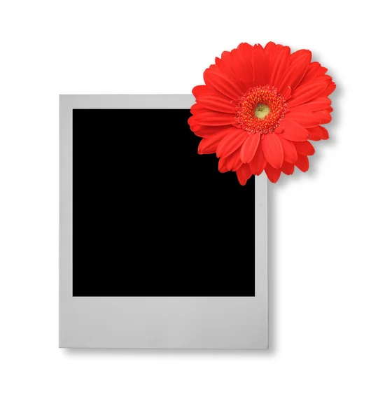 Single photo frame with flower motive — Stock Photo, Image