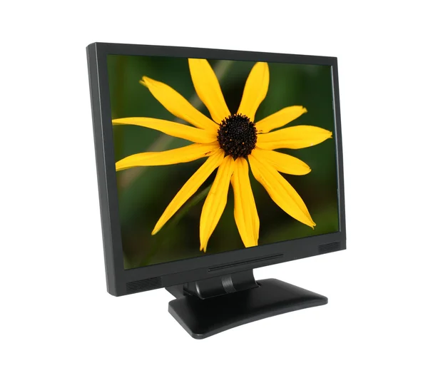 LCD screen with gorgeous flower — Stock Photo, Image