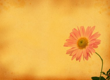 Retro background with flower motive