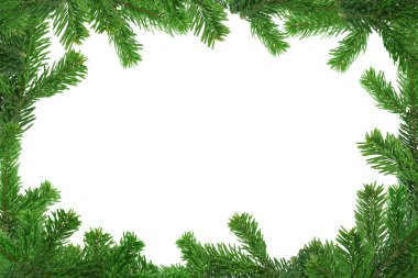 Xxl image of spruce twig frame clipart