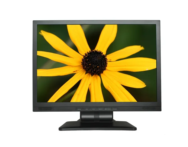 Lcd Bildschirm mit wunderschöner Blume — Stockfoto