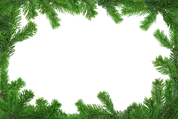 Xxl image of spruce twig frame — Stock Photo, Image