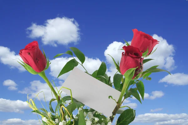 Heavenly roses with blank note — Stock Photo, Image